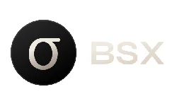 BSX
